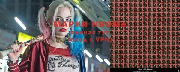 гашик Алексин