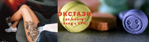 гашик Алексин