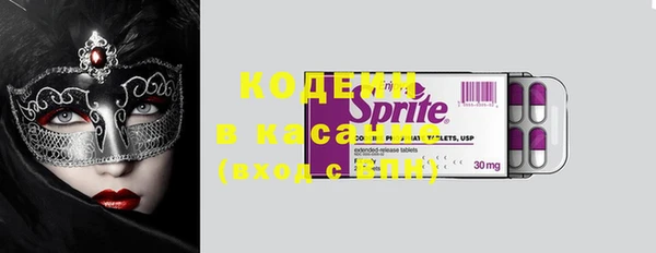 дурь Алзамай