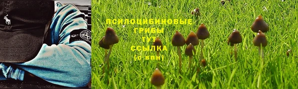 ALPHA-PVP Абинск
