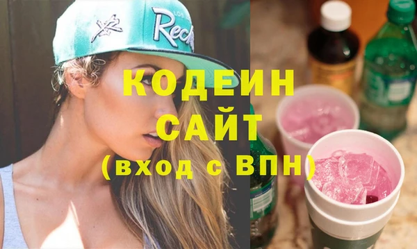 гашик Алексин