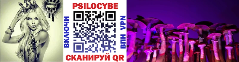 купить наркотики сайты мориарти телеграм Псилоцибиновые грибы Cubensis Нюрба